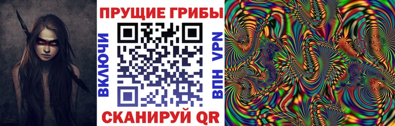 Псилоцибиновые грибы Psilocybe  Чадан 